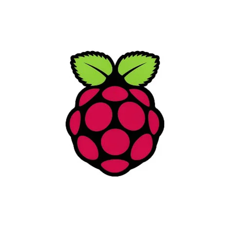 Raspberry Pi Logo ROBU