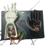 Design and Fabrication of Prosthetic Hand