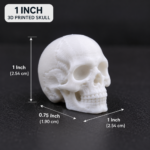 3D Printed Skull Miniature – 1 Inch, 2 Inch & 3 Inch - Image 3