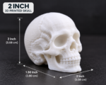 3D Printed Skull Miniature – 1 Inch, 2 Inch & 3 Inch - Image 4