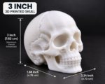 3D Printed Skull Miniature – 1 Inch, 2 Inch & 3 Inch - Image 5